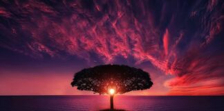 Jakie morze jest w Szkocji?