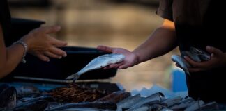 Co warto sprzedawać w Anglii z Polski?