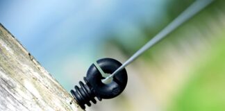 Ile Polaków mieszka w Hiszpanii?