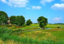 Co jest typowo polskie? Co jest typowo polskie?