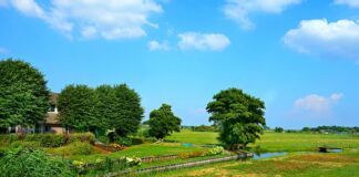 Co jest typowo polskie? Co jest typowo polskie?