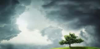 Jaka jest pogoda w maju w Tunezji?