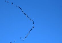 Kiedy najlepiej lecieć do Szkocji?