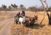 Gdzie zgłosić przewóz pieniędzy? Gdzie zgłosić przewóz pieniędzy?