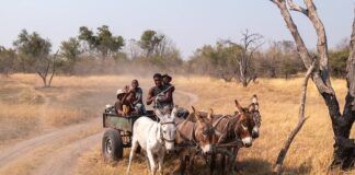 Gdzie zgłosić przewóz pieniędzy?