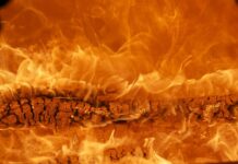 Jaka jest najlepsza marka piwa?