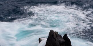 Jaka jest cena 1 euro?