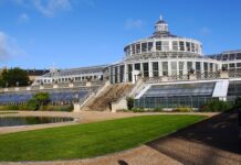 Czy w Kopenhadze wieje?