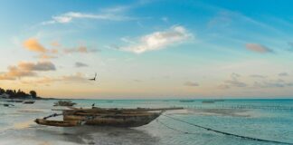Co lata na Zanzibar?