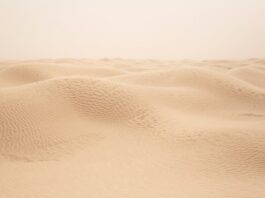 Z czego utrzymuje się Tunezja? Z czego utrzymuje się Tunezja?