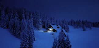 Czego nie można przywieźć do Polski?