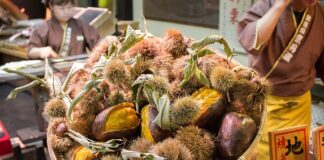 Jak dojechać z Polski do Szkocji?