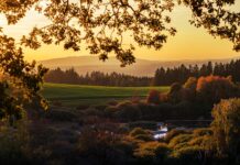 Dlaczego nie opalać sutków? Dlaczego nie opalać sutków?