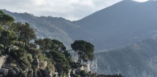 Ile kosztuje prom z Danii do Polski?