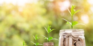 Jakie pieniądze są w Danii?