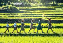 Jak wygląda tartan? Jak wygląda tartan?