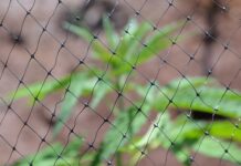 Czy w Krakowie jest prohibicja?