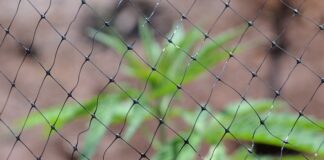 Czy w Krakowie jest prohibicja?