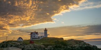 Dlaczego w Anglii nie ma owoców i warzyw? Dlaczego w Anglii nie ma owoców i warzyw?