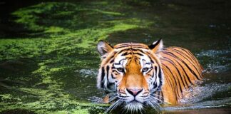 Gdzie jest niebezpiecznie w Europie?