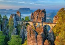 Czy Niemcy wola Polki?