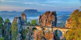 Czy Niemcy wola Polki?