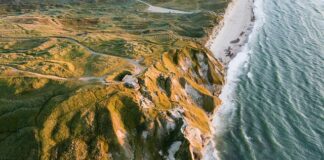 Czy w Danii są polskie sklepy? Czy w Danii są polskie sklepy?