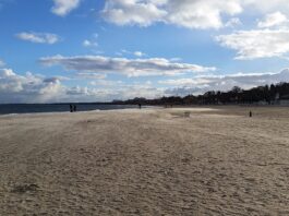 Apartamenty nad morzem na wynajem – idealne miejsce na relaks Apartamenty nad morzem na wynajem